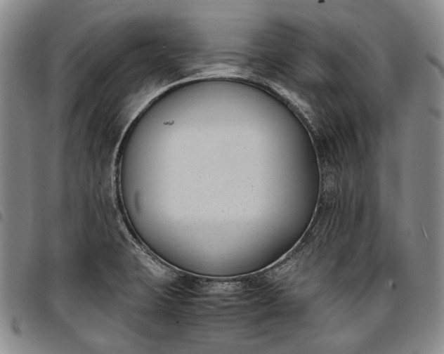X0000096651423200802191232