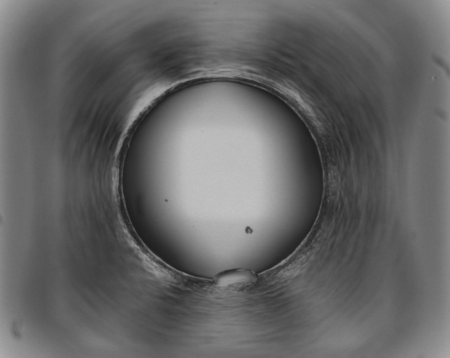 X0000096651424200802191232