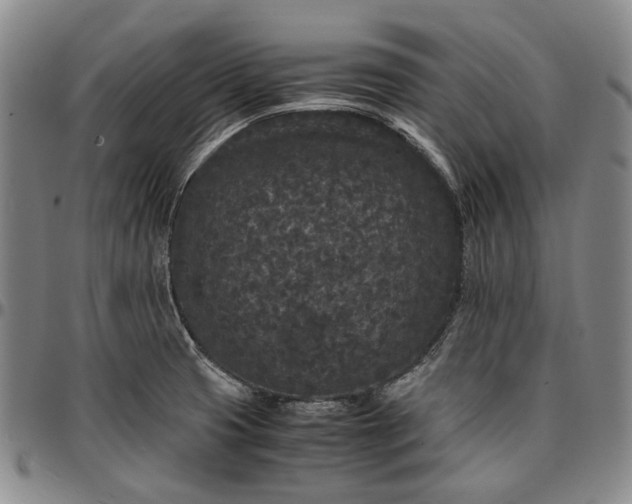X0000096651425200802191232