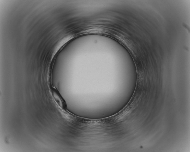 X0000096651426200802191232