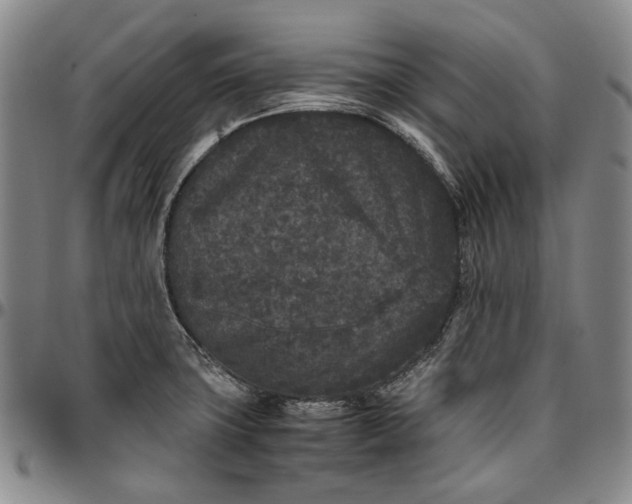 X0000096651427200802191232