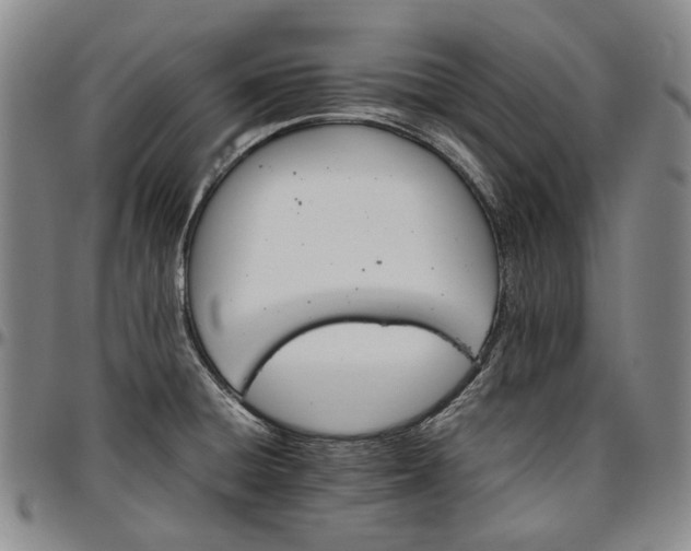 X0000096651428200802191232