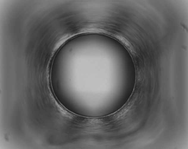 X0000096651430200802191232