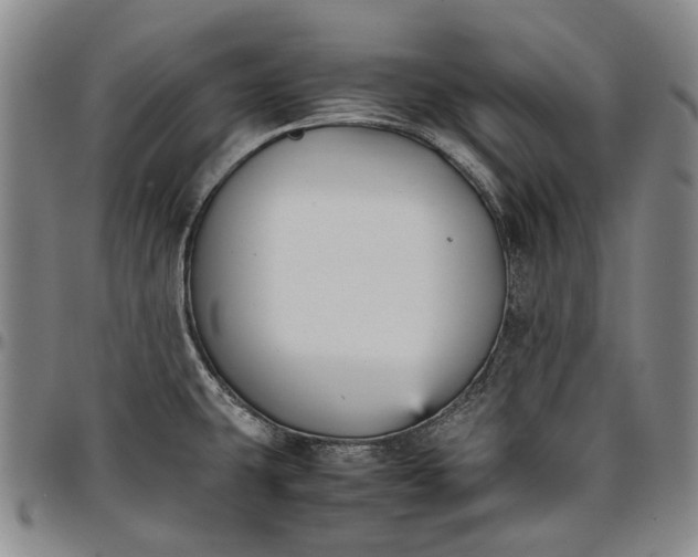 X0000096651431200802191232