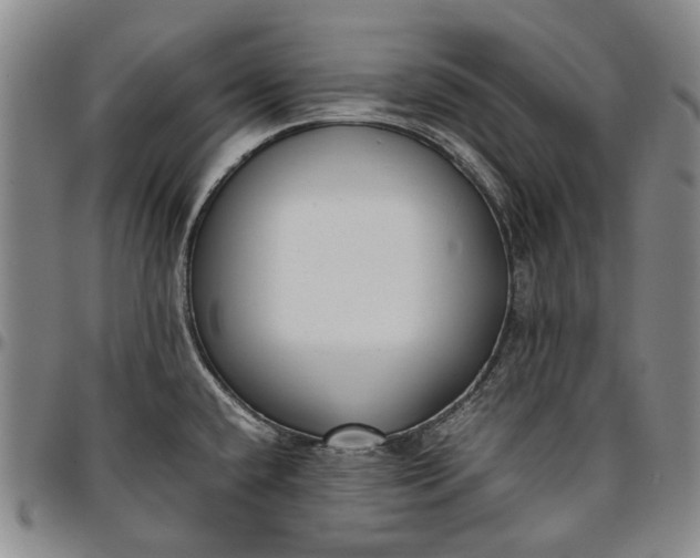 X0000096651432200802191232