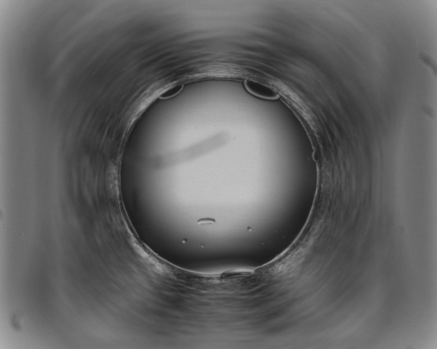 X0000096651433200802191232