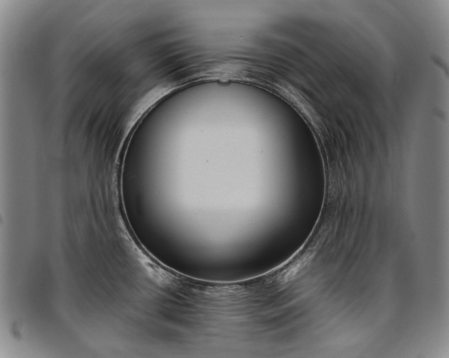 X0000096651434200802191232