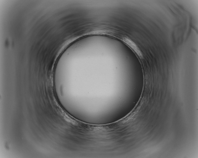 X0000096651436200802191232