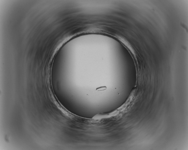 X0000096651437200802191232