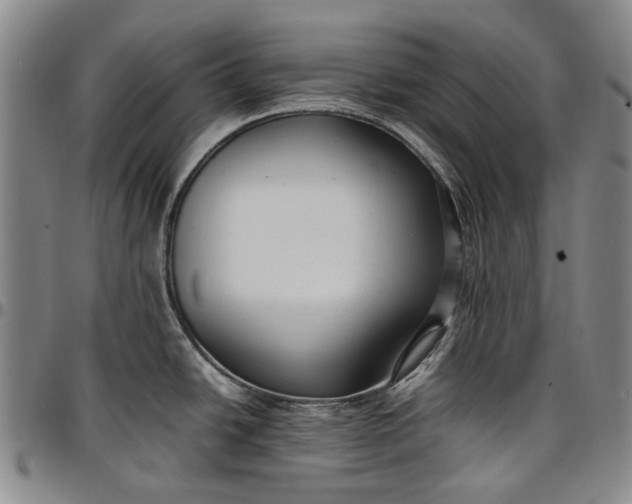 X0000096651438200802191232