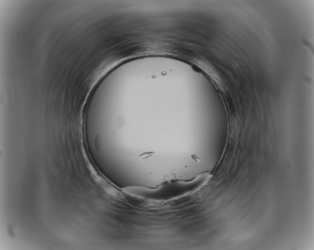 X0000096651439200802191232