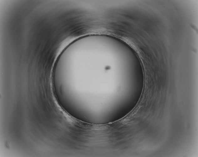 X0000096651440200802191232
