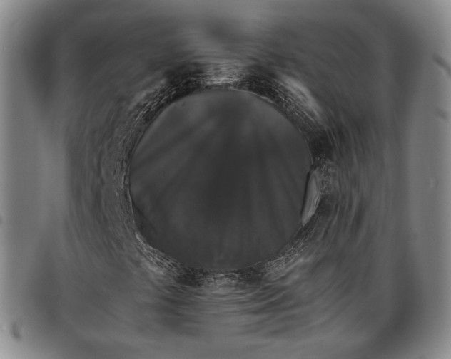 X0000096651441200802191232
