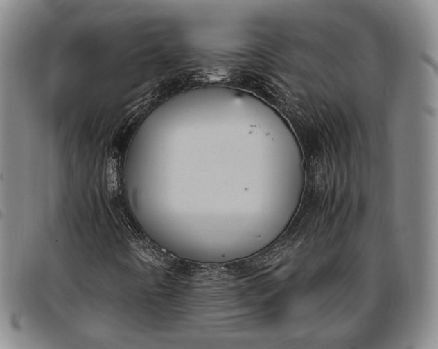 X0000096651442200802191232