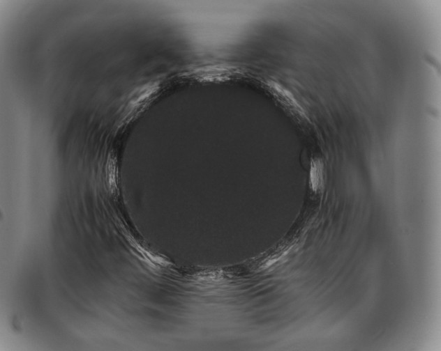X0000096651444200802191232
