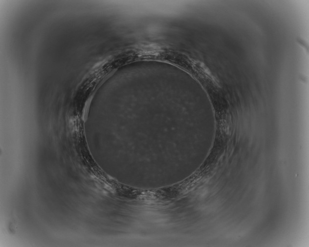 X0000096651445200802191232