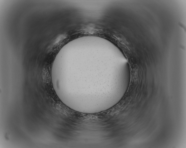 X0000096651446200802191231
