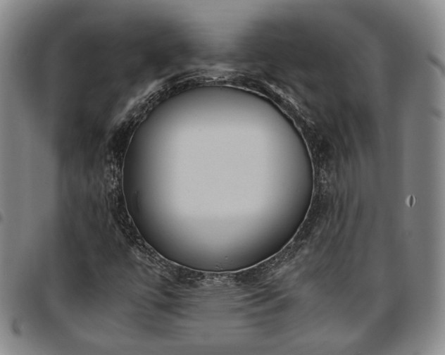 X0000096651447200802191231