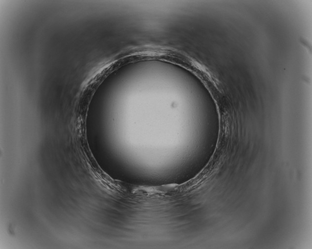 X0000096651448200802191231
