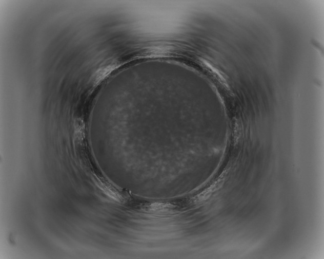X0000096651449200802191231