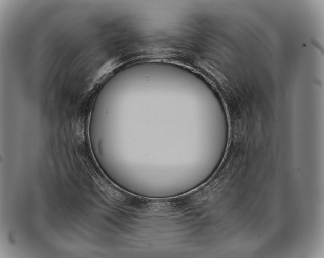 X0000096651451200802191231
