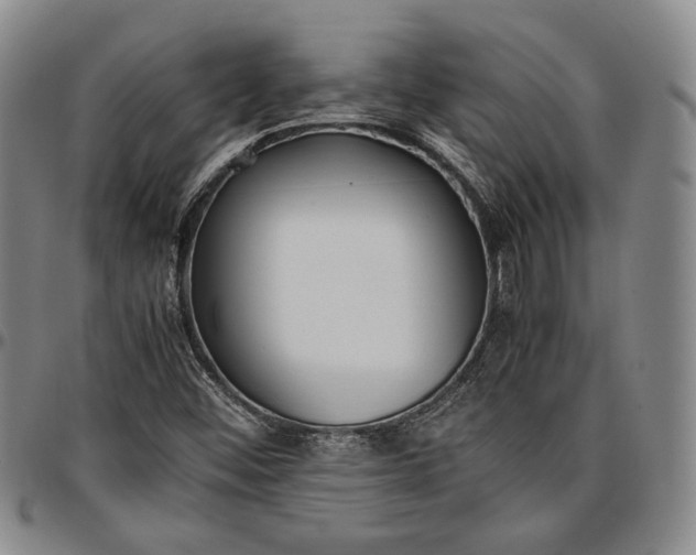 X0000096651452200802191231
