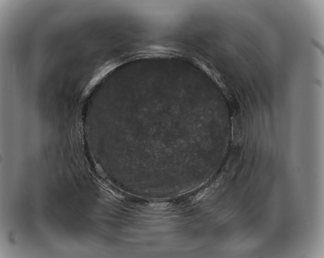 X0000096651453200802191231