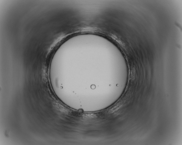 X0000096651454200802191231