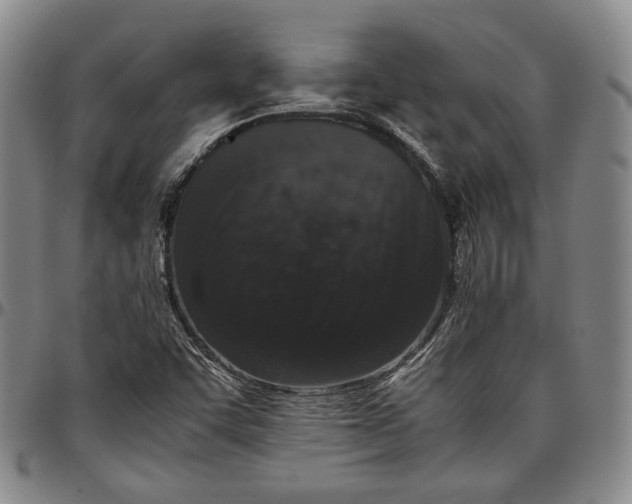 X0000096651455200802191231
