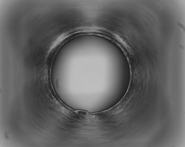 X0000096651456200802191231