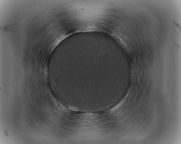 X0000096651457200802191231