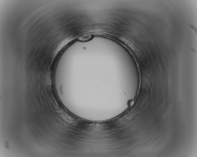 X0000096651458200802191231