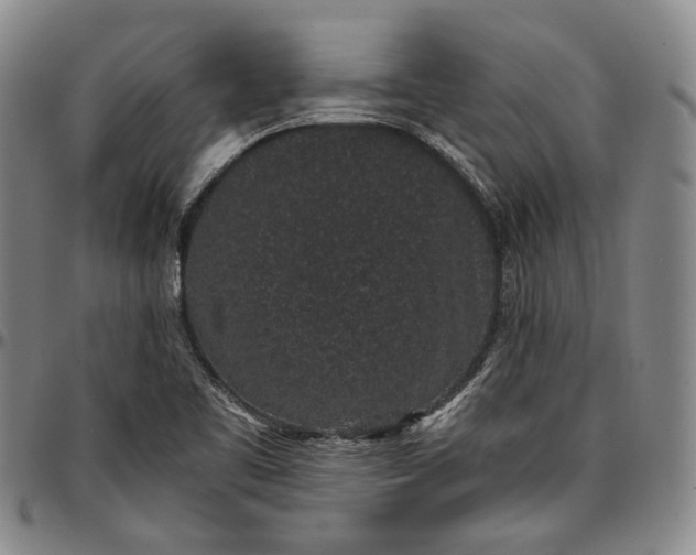 X0000096651461200802191231