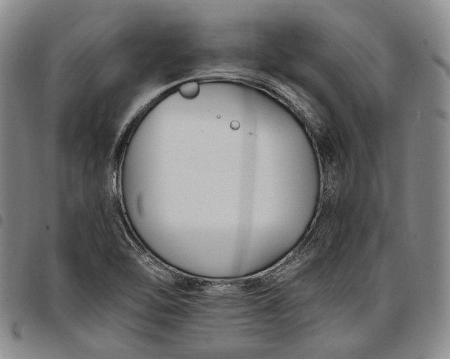 X0000096651462200802191231