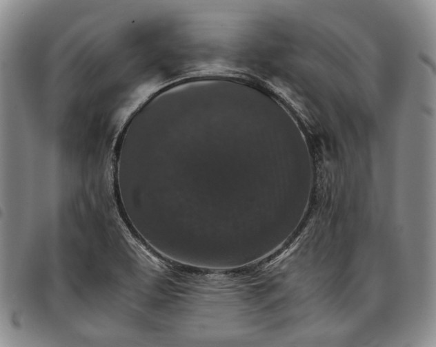 X0000096651463200802191231