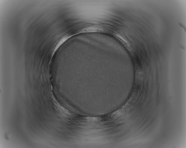 X0000096651465200802191231
