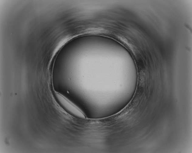 X0000096651467200802191231