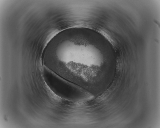 X0000096651468200802191231