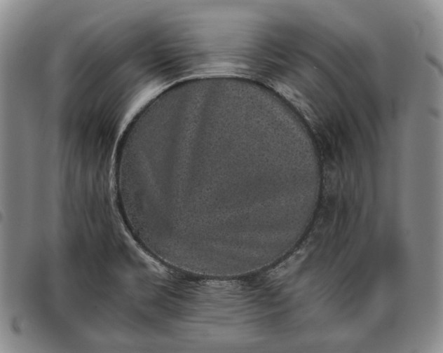 X0000096651469200802191231