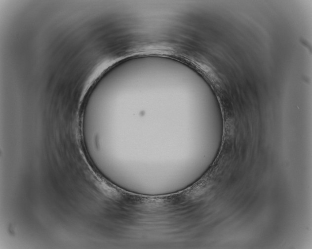 X0000096651470200802191231