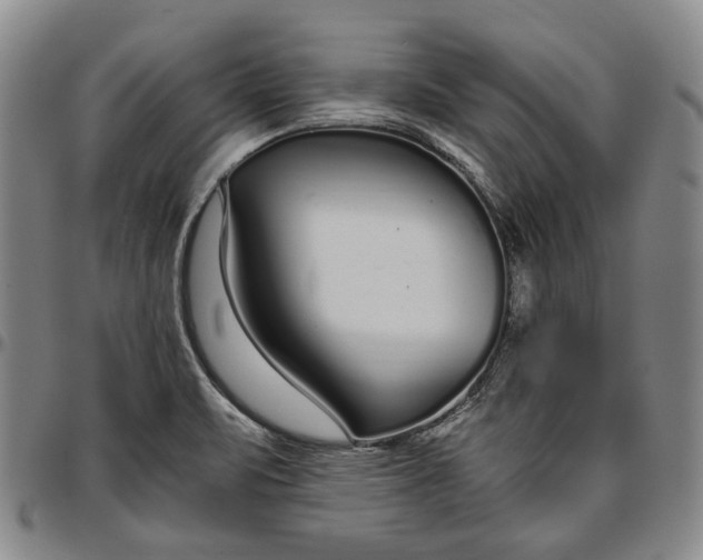 X0000096651471200802191231