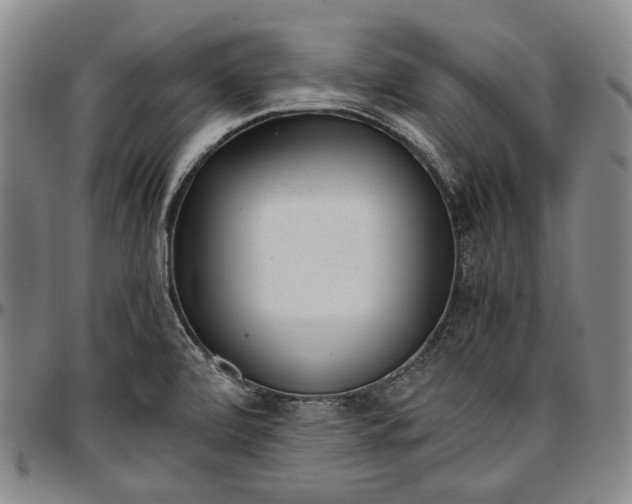 X0000096651472200802191231