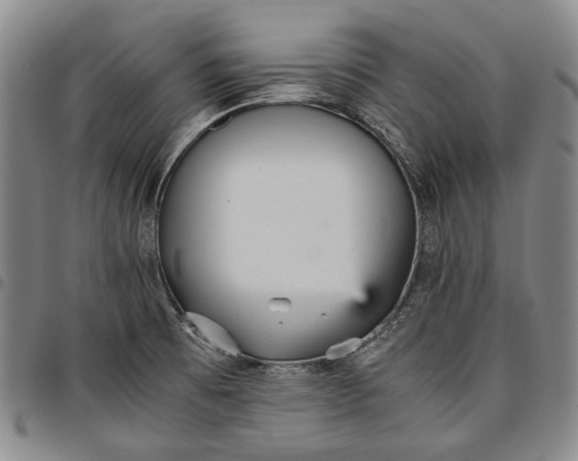 X0000096651473200802191231