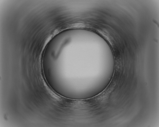 X0000096651475200802191231