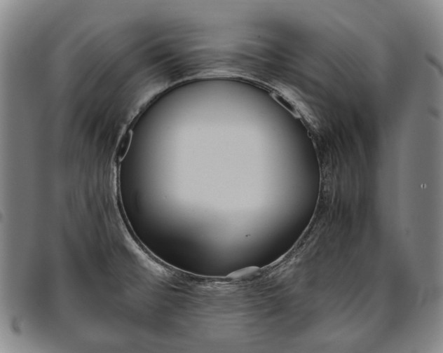 X0000096651476200802191231