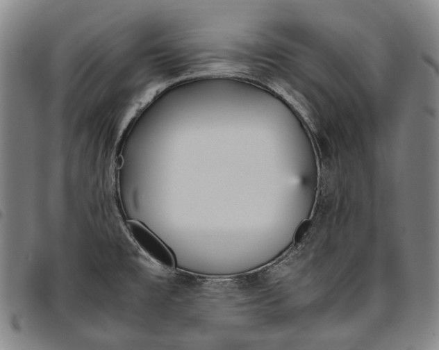 X0000096651477200802191231