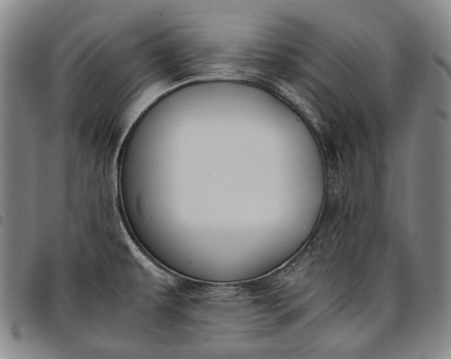X0000096651479200802191231