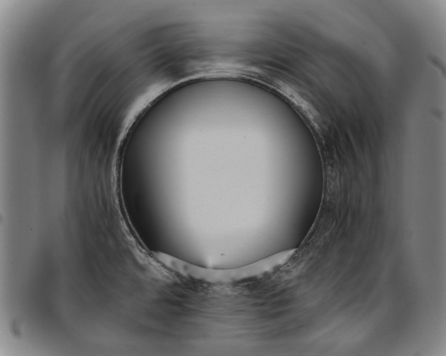 X0000096651480200802191231