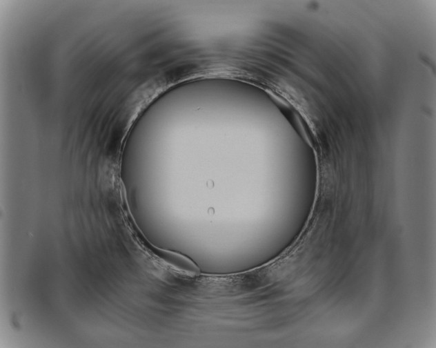 X0000096651481200802191231