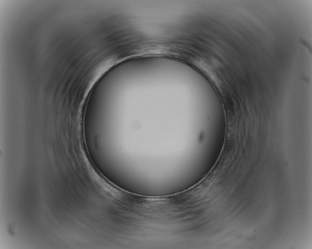 X0000096651483200802191231